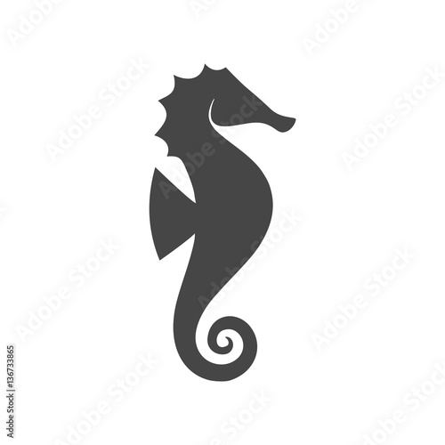 Sea horse vector illustration