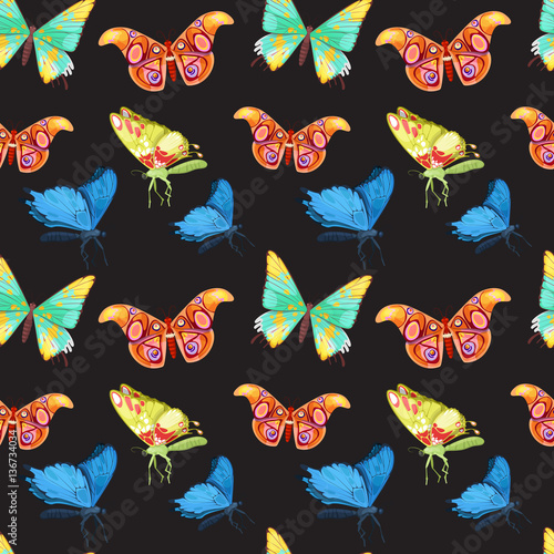Colorful Butterflies Set. Vector illustration
