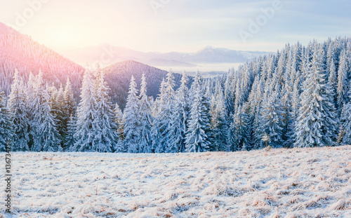 Winter landscape glowing by sunlight. Dramatic wintry scene. Car © standret