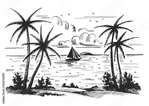 Seashore beach with palm trees