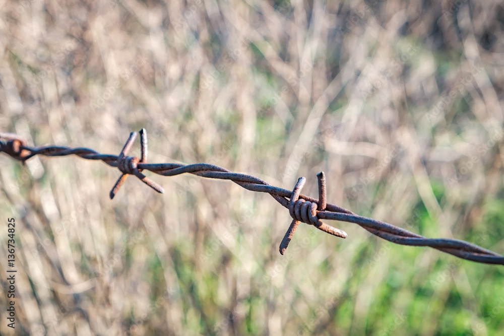 Old barbed rusty wire on a dry grass background. Selective focus on center of wire Old barbed rusty wire on a dry grass background. Selective focus on center of wire