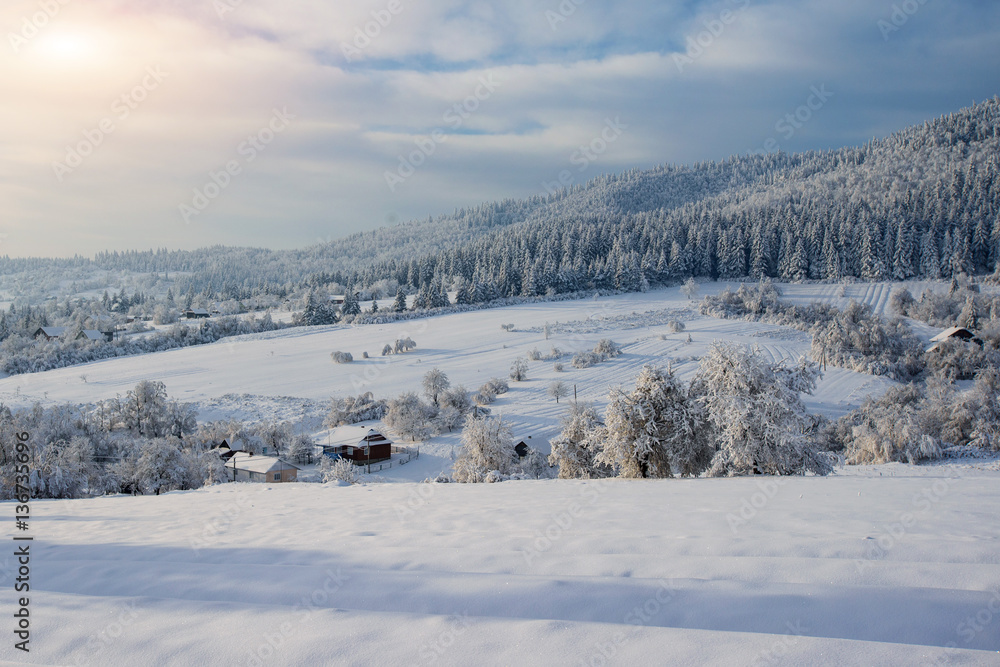 Winter landscape glowing by sunlight. Carpathian, Ukraine, Europe.