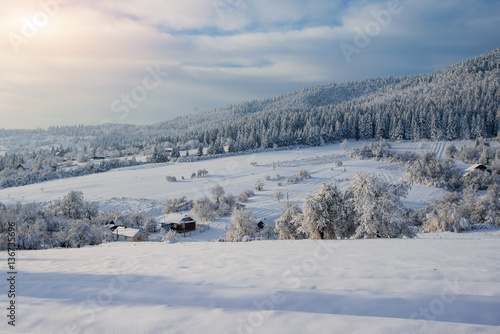 Winter landscape glowing by sunlight. Carpathian, Ukraine, Europe.