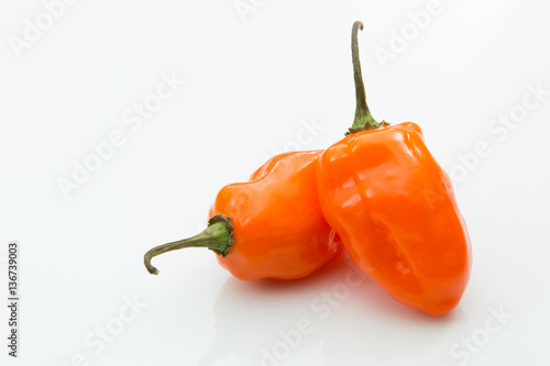 Two orange habanero peppers isolated white background.