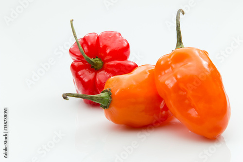 Red and orange habanero peppers on white background. photo