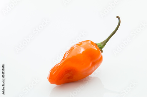 Habanero orange pepper isolated white background.