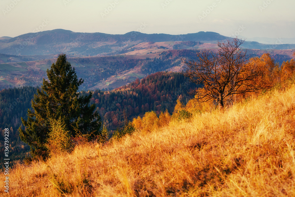 mountain range in the Carpathian Mountains in the autumn season. mountain range in the Carpathian Mountains in the autumn season.