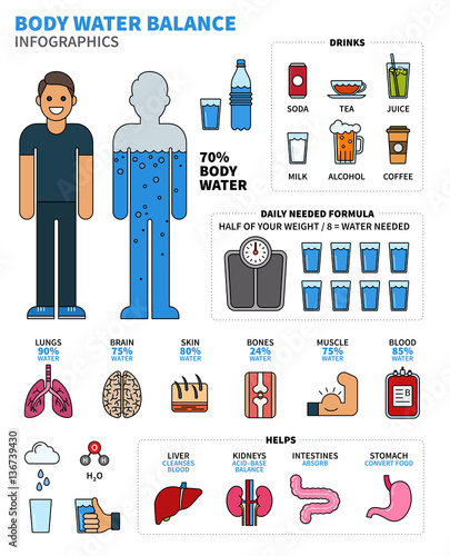 Body Water Infographics with Human Organs, Drinks and Calculatio photo