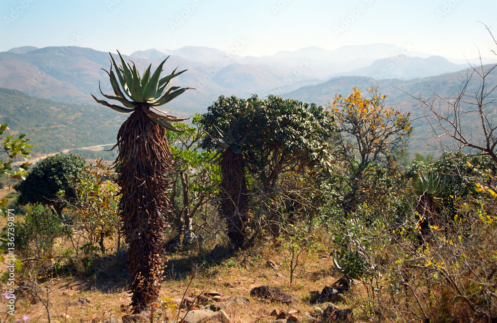 Hhenga Mountains, Swaziland
