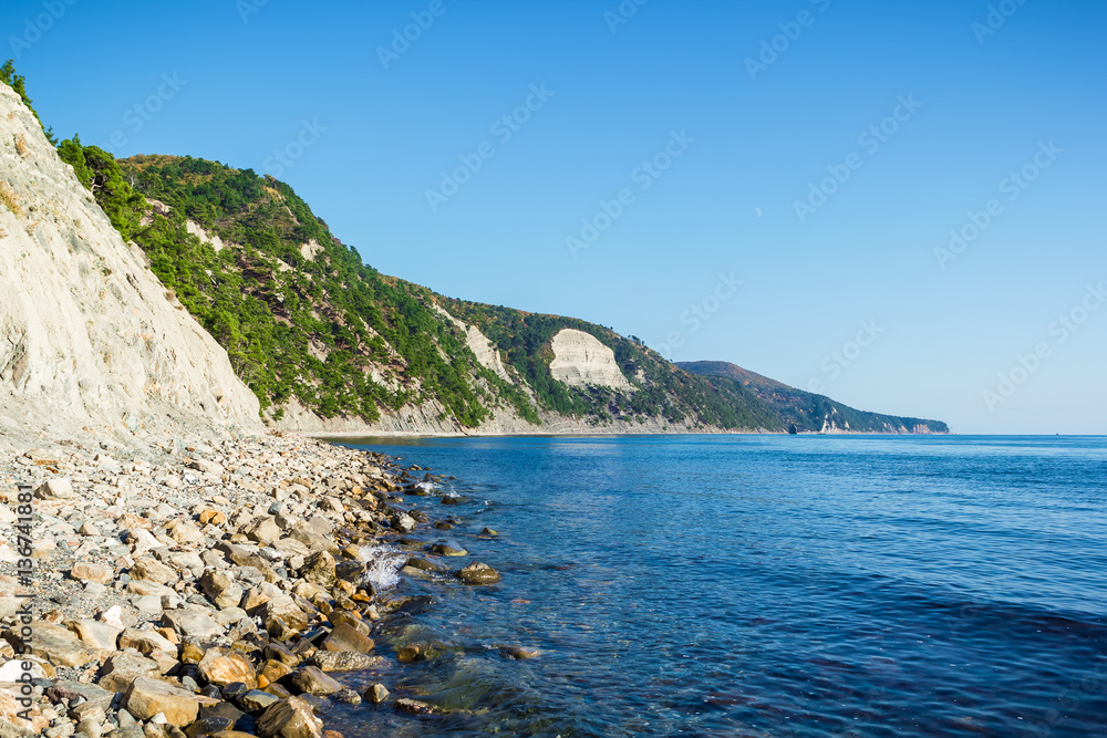 Ocean and rocky beach, beautiful rocks and trees