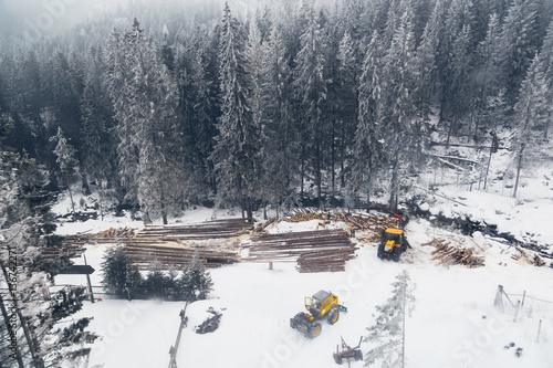 Industrial logging and harvesting with machinery in winter mountain forest. Flying drone view photography.