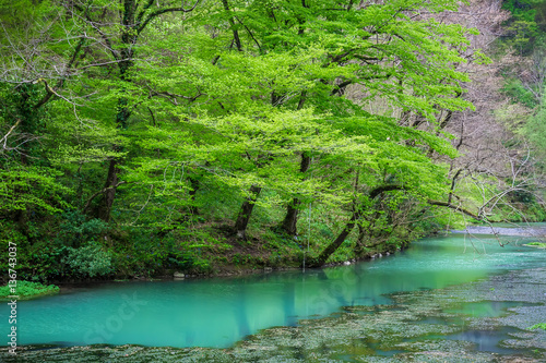 Clear blue lake in the forest. Summer background