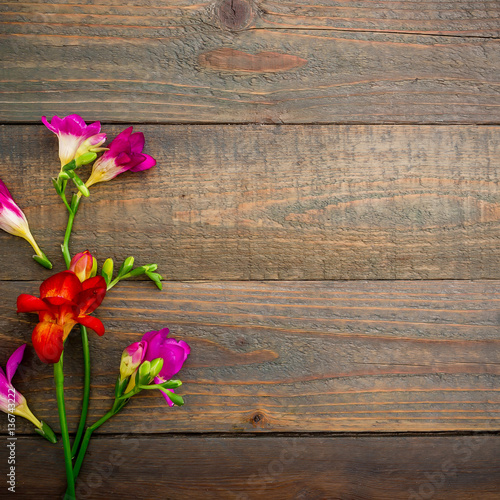 Freesia flowers on wood background. Flat lay  top view. Floral background