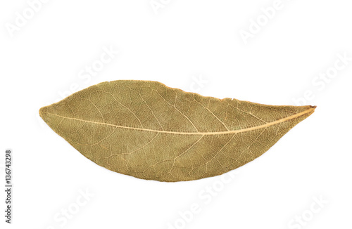 Single dried bay leaf isolated