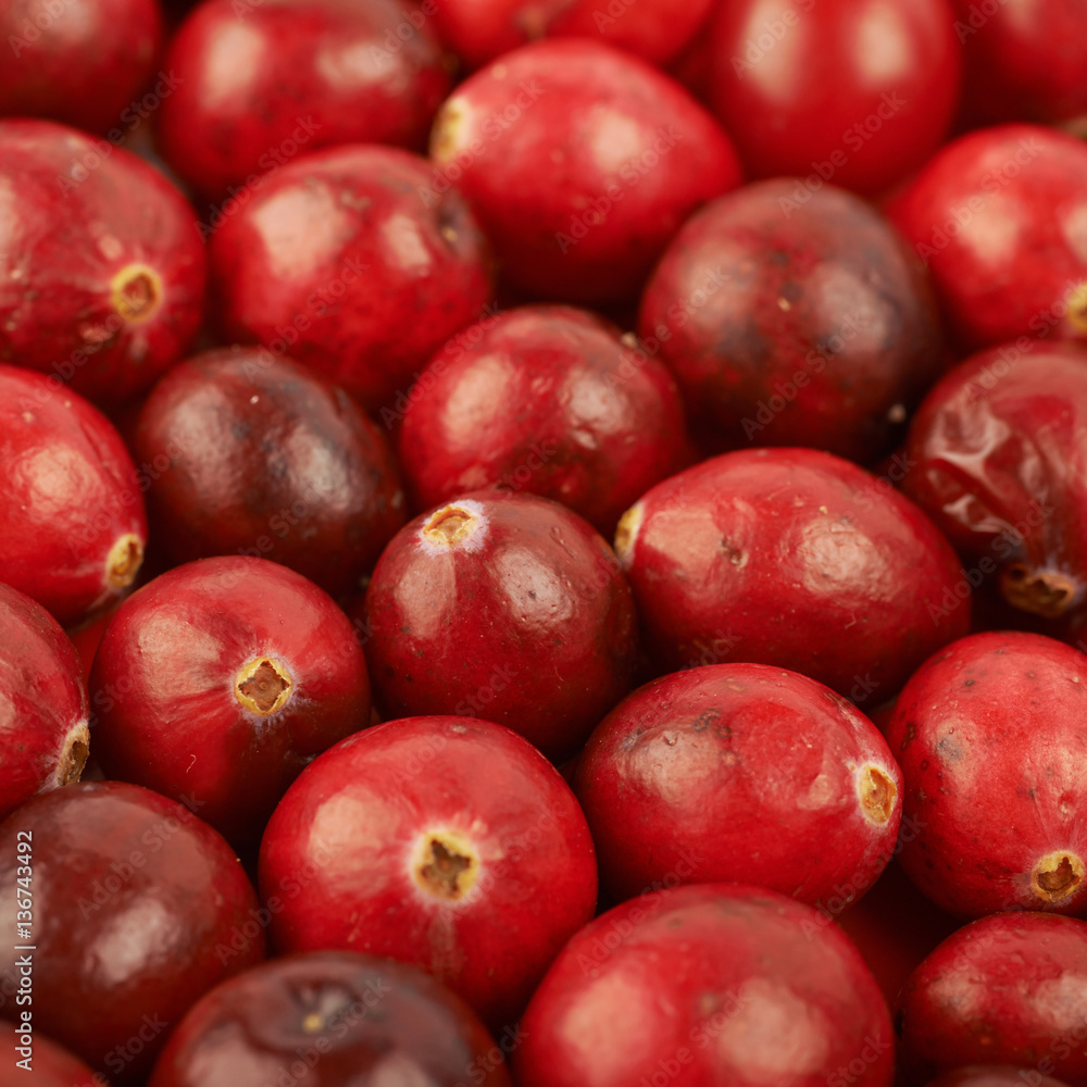 Surface coated with the cranberries Surface coated with the cranberries