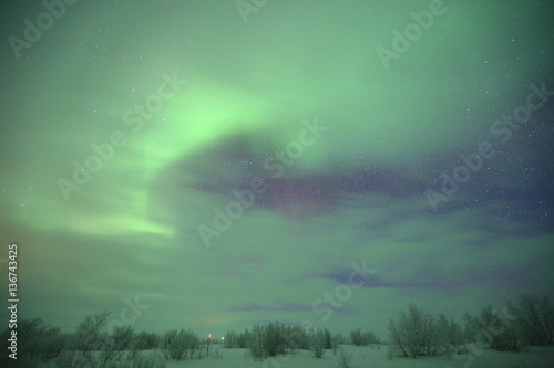 Northern lights  Aurora Borealis  Nordlicht  Polarlicht  Norwegen  Schweden  Finnland  Island