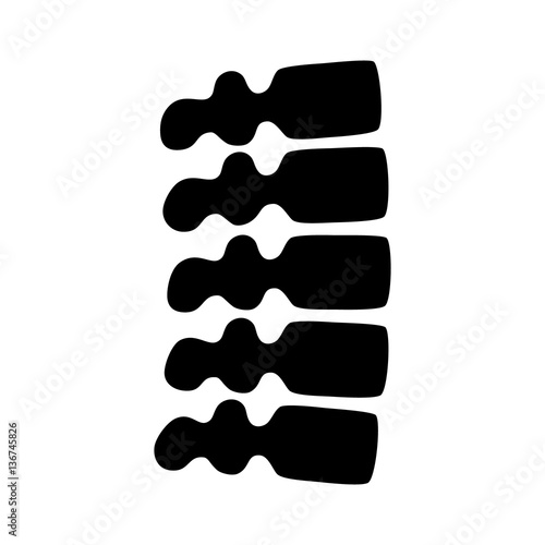 Human backbone or spine flat vector icon for medical apps and websites