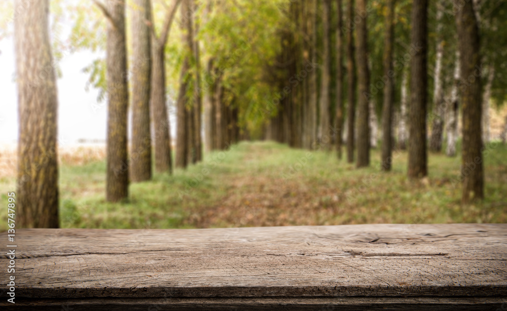 Empty perspective white wood over blurred trees with bokeh background, for product display montage Empty perspective white wood over blurred trees with bokeh background, for product display montage