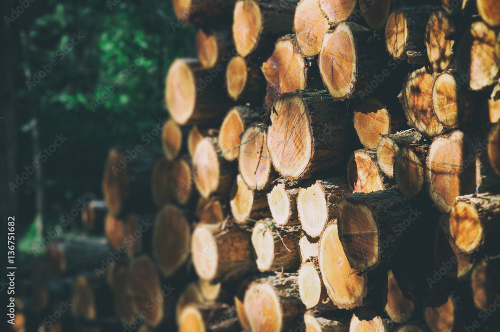 background,brown,circle,cut,firewood,forest,industry,log,logs,lumber,material,natural,nature,old,pattern,pile,pine,raw,ring,rough,round,stack,stacked,stock,texture,timber,tree,trunk,wood,wooden