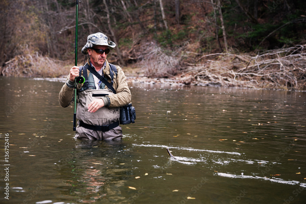 Fisherman caught grayling and pulls him out of river Fisherman caught grayling and pulls him out of river