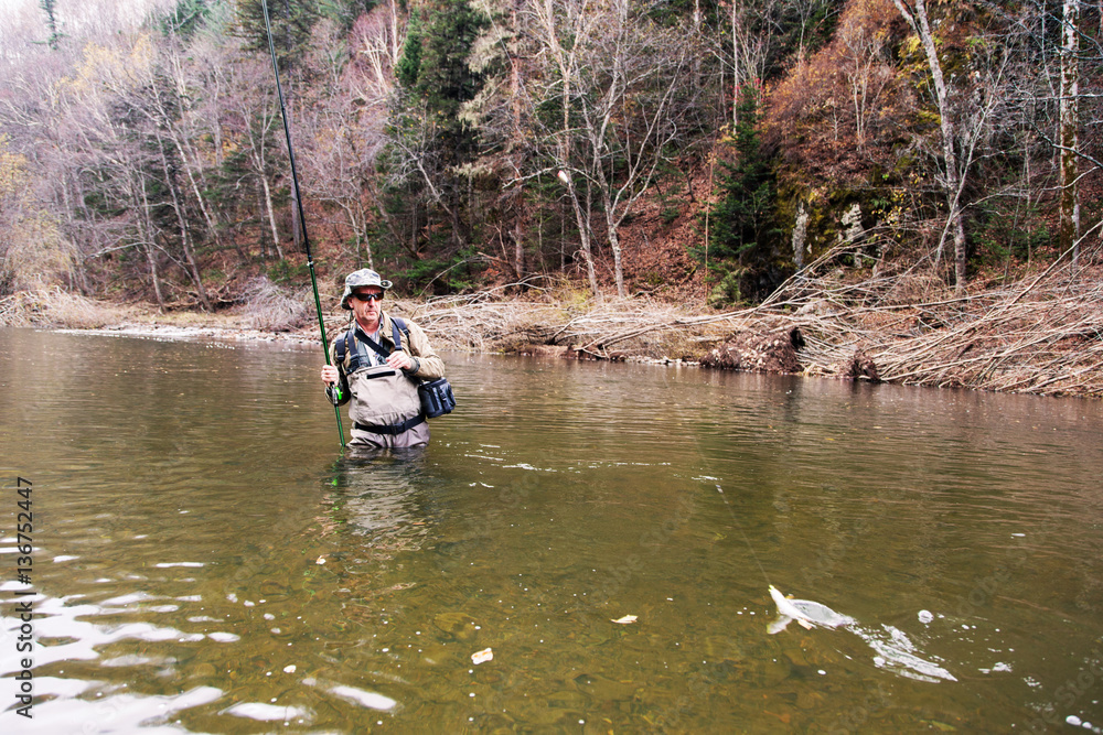 Fisherman caught a grayling in a mountain river