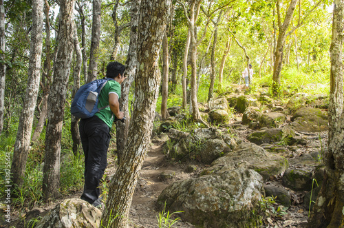 Walking to forest