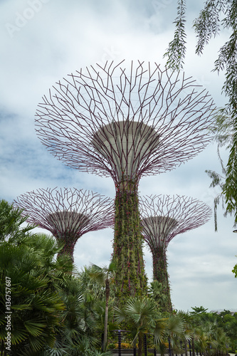 Photography Botanical tower at Garden by the Bay