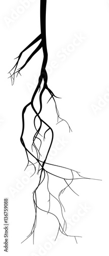 Black root system - vector set
