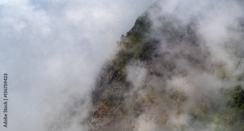 Mountain covered by fog background