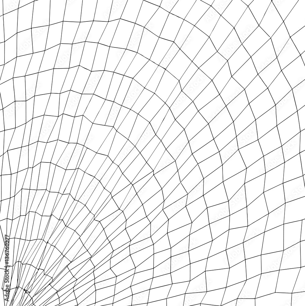 Obraz premium Radial mesh - vector illustration