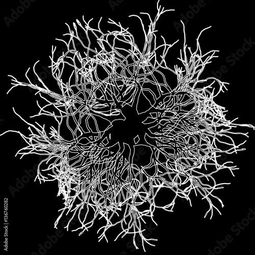 Round roots on black - vector illustration