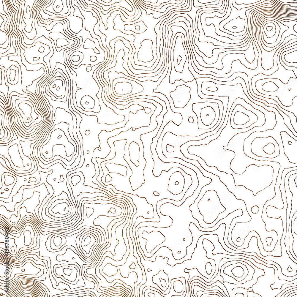 Cartographic pattern - vector illustration
