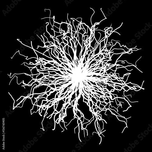 Round roots on black - vector illustration