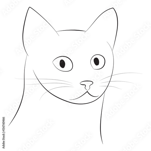 Cat's head - vector illustration 