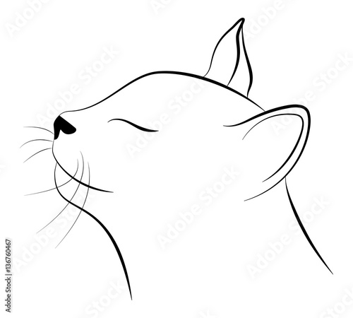 Cat's head - vector illustration  © kseniyaomega