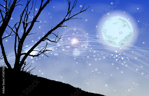 Trees silhouette magic night. Illustration