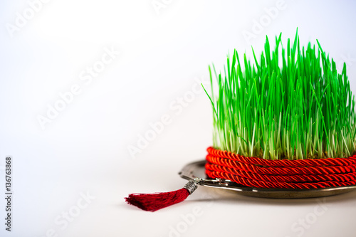 Green semeni on vintage plate  decorated with twist red ribbon and red tassel