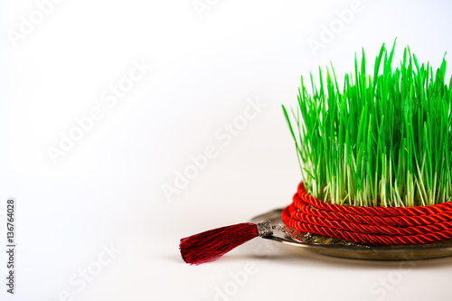 Green semeni on vintage plate, decorated with twist red ribbon and red tassel photo