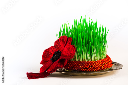 Green semeni on vintage plate, decorated with twist red ribbon and red tassel photo