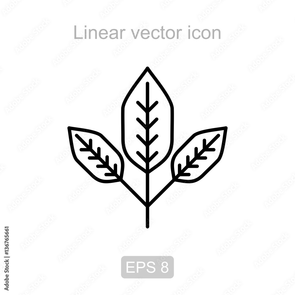 Frond. Linear vector icon.