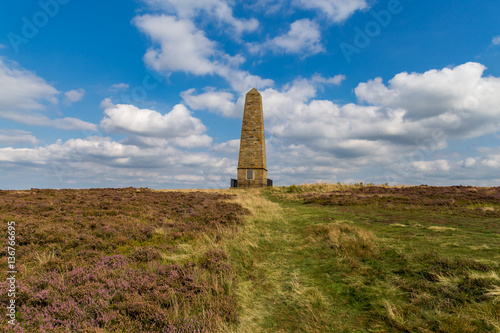 Captain Cook's Monument, near Great Ayton, North Yorkshire, UK