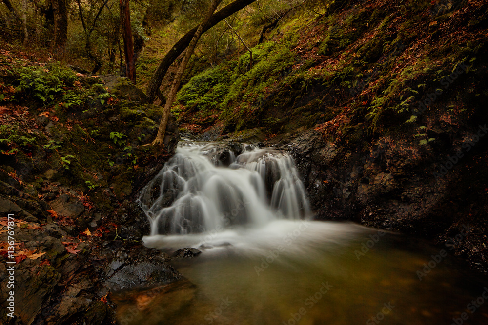 Fototapeta premium Uvas Canyon Waterfall