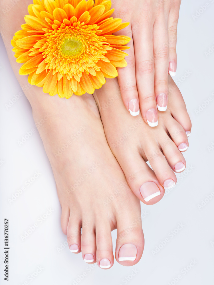 female feet at spa salon on pedicure and manicure procedure female feet at spa salon on pedicure and manicure procedure