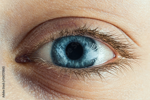 Female Blue Eye With Long Lashes Close Up. Human Eye Macro Detail.