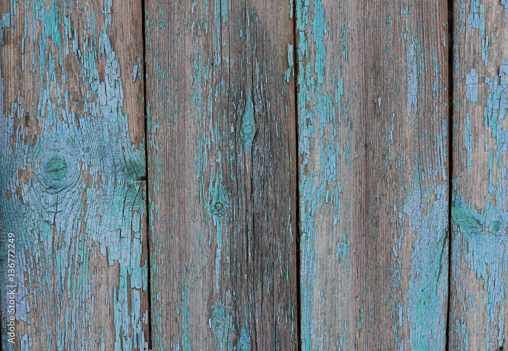 Texture of old wooden boards in peeling blue-turquoise color paint, abstract natural rustic background. wooden fence. template for design. flat lay. copy space Texture of old wooden boards in peeling blue-turquoise color paint, abstract natural rustic background. wooden fence. template for design. flat lay. copy space