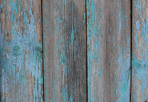 Texture of old wooden boards in peeling blue-turquoise color paint, abstract natural rustic background. wooden fence. template for design. flat lay. copy space © Ju_see