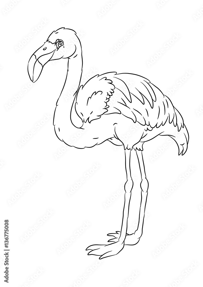 happy smiling cartoon standing flamingo coloring page Stock Vector