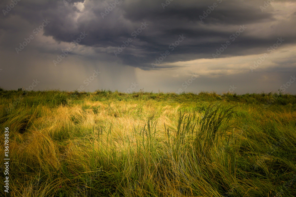 Stormy sky over the fields, during  summer