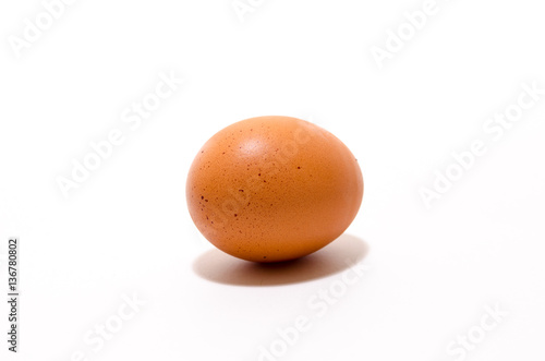 An Egg on White Background.