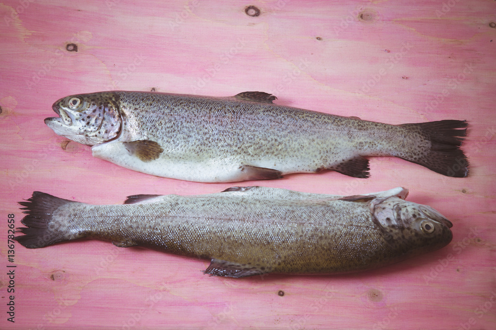 trout on a background of rose wood